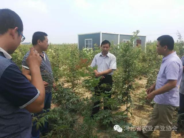 孫悅明會長等協(xié)會領(lǐng)導(dǎo)到安平縣會員單位調(diào)研， 取得良好效果