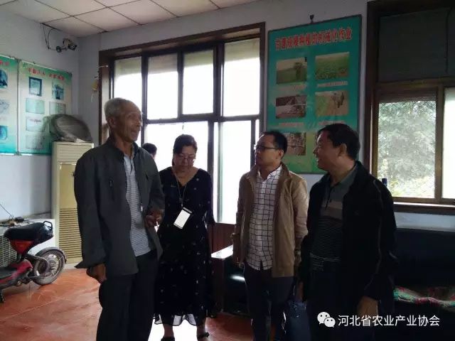 孫悅明會長等領(lǐng)導(dǎo)赴晉州聽取薯業(yè)專委工作匯報， 并進行調(diào)研