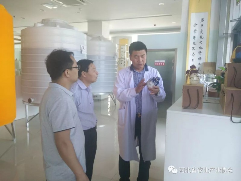 孫悅明會長應(yīng)邀到石家莊國莓雅潔生物實(shí)驗室有限公司走訪調(diào)研
