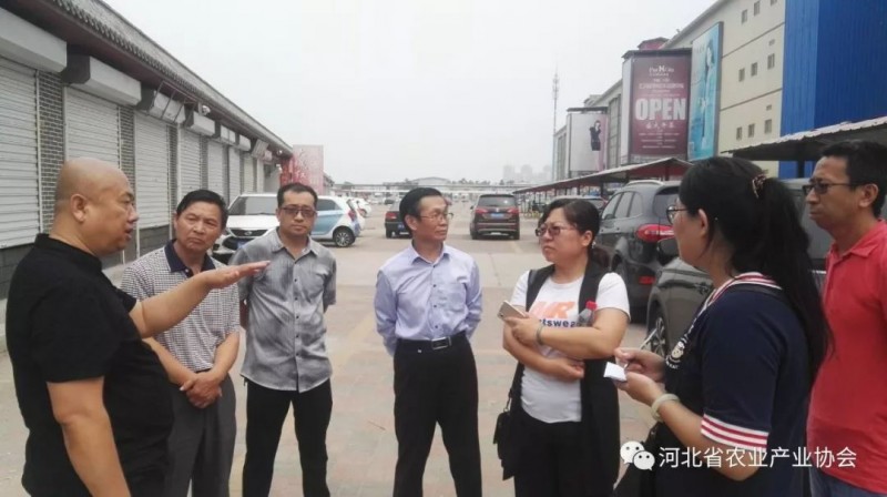孫悅明會長帶隊赴天津、白溝等地進(jìn)行市場考察