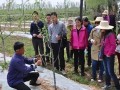 蘋果拉枝有技巧，這些竅門要記牢！不懂別亂拉！
