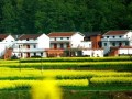 農(nóng)村宅基地20問，每一問都和你有關(guān)