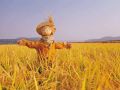 這15項(xiàng)補(bǔ)貼即將截止，錯(cuò)過(guò)就要再等一年了！