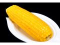 鮮食玉米的機(jī)會(huì)來(lái)了，河北省建設(shè)41萬(wàn)畝基地，還要打造國(guó)際品牌