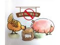 飼料“禁抗”新政出臺(tái)，行業(yè)準(zhǔn)備好了嗎？