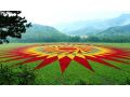 做大做強(qiáng)！我省將重點(diǎn)抓好這7大類24種農(nóng)業(yè)優(yōu)勢(shì)特色產(chǎn)業(yè)
