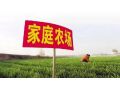 家庭農(nóng)場(chǎng)多大規(guī)模才合適？